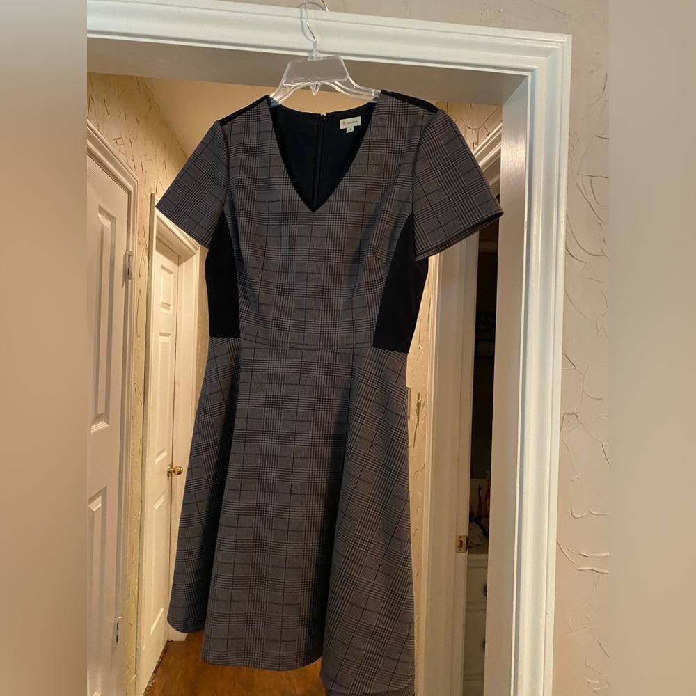 Cremieux dress with sued accents - size 6